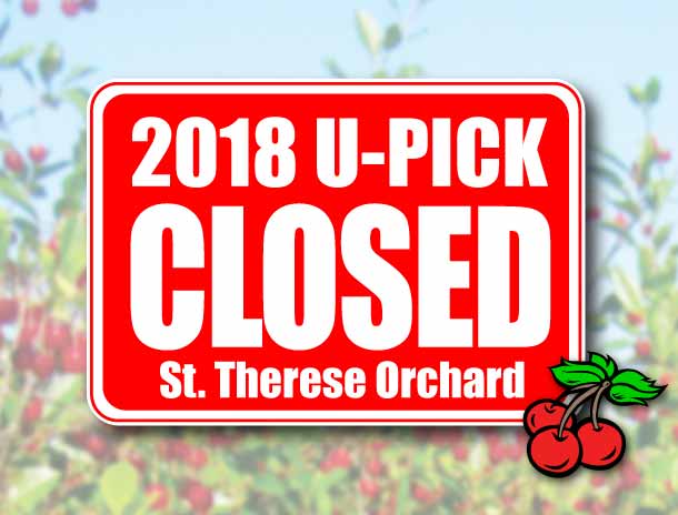 CHERRY U-PICK ORCHARD OPEN AUG. 1